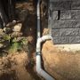 Tree Roots in Drains: How They Cause Blockages and Pipe Damage